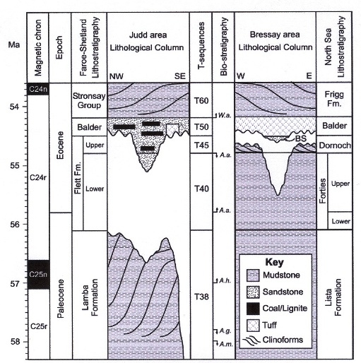 Fig. 2 Stratigraphical columns showing uplift of area of Scotland at 55 million years, first (and more) to west and then a little later (and less) to the east. (From Rudge & others, 2008.)
